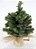 Mini Pinheiro de Natal Base Juta 45cm - Árvores de Natal - Ref 1025897 Cromus Natal - Imagem 1