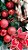 Guirlanda de Natal Decorada Vermelha com Flores, Bolas e Pinhas - Ref 12112021 CCS Natal - Imagem 2