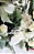 Guirlanda Cesta Decorativa de Cipó com Flores Brancas e Coelho de Palha Branco 42x45cm - Guirlandas e Arranjos de Páscoa - Ref 1920857B Páscoa Cromus - Imagem 2