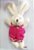 Mini Coelho de Pelúcia Roupa Pink 13cm - Coleção Maria Mole - Ref 1522103 Páscoa Cromus - Imagem 1