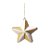 Enfeite Para Pendurar Estrela Branco e Dourado 10cm com 1 Unidade - Ref 1361461 Cromus - Imagem 1