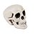 Enfeite Caveiras Cranio Halloween com 6 Unidades - Halloween _ Ref 29003601 Cromus - Imagem 3