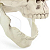 Enfeite Cranio Mandíbula Móvel com 1 Unidade - Halloween - Ref 29004016 Cromus - Imagem 3
