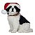 Boneco Cachorro Collie com Gorro Noel 25cm - Natal Pet Mania - Ref 1014135 Cromus - Imagem 1