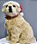 Boneco Cachorro Labrador com Gorro Noel 25cm - Natal Pet Mania - Ref 1014136 Cromus - Imagem 1