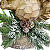 Esquilo de Resina Efeito Amadeirado Sentado no Arbusto com Led 24x21x15cm - Ref 1017976 Cromus - Imagem 6