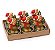 Velas Urso com Tealight Jogo com 6Un - Velas de Natal - Ref 1641742 Cromus - Imagem 1
