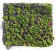 Grama Artificial Verde Musgo 100x100cm - Coleção Chalé - Ref 1822235 Cromus - Imagem 1