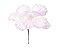 Flor de Natal Magnólia Rosa Bebe Perolizado - Flores Cabo Curto - Ref 1022587 Cromus - Imagem 1