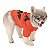 Roupa Pet Rosto Abobora Tam Único - Pequeno Porte - Ref 29003739 Cromus - Imagem 2