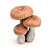 Cogumelo de Resina Efeito Amadeirado 16x14x14cm - Ref 1038064 Cromus - Imagem 1