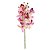 Haste Orquídea Rosa Forte Cymbidium com 7 Flores 72cm - Ref 1062486 Cromus - Imagem 1