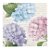 Guardanapo de Papel Decorado Hortênsias 33cm com 20Un - Ref 1096600 Cromus - Imagem 1