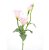 Haste Lisiantus Rosa Claro 45cm - Ref 1093294 Cromus - Imagem 3