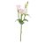 Haste Lisiantus Rosa Claro 45cm - Ref 1093294 Cromus - Imagem 1