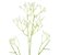 Haste Gipsofila Mosquitinho Branco 60cm - Ref 1086464 Cromus - Imagem 2