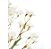 Haste Campanula Branco Off 73cm - Ref 1093155 Cromus - Imagem 3