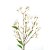 Haste Campanula Branco Off 73cm - Ref 1093155 Cromus - Imagem 2