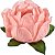 Forminha Para Doces Flor Bela 30 un Pessego - Decora Doces - Imagem 1