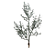 Galho Grande de Natal Folhas Verde Musgo 58cm - Ref 1056886 Cromus - Imagem 1