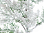 Galho de Natal Cipreste Verde Nevado 63cm - Ref 3119928 Cromus - Imagem 4