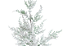 Galho de Natal Cipreste Verde Nevado 63cm - Ref 3119928 Cromus - Imagem 2