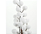 Galho de Natal Frutas Brancas 45cm - Ref 1087476 Cromus - Imagem 2