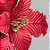 Flor de Natal Poisentia de Veludo Vermelho Borda Glitter Chá 26cm - Ref 3100418 Cromus - Imagem 3