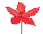 Flor de Natal Poisentia Vermelha Borda Glitter 20cm - Ref 1025016 Cromus - Imagem 1