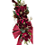 Escapulário de Natal Magnólias Marsala com Laço 140cm - CCS Decorações - Imagem 7
