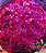 Confete Holográfico Pink Hexagonal Para Balão com 3 gramas - Imagem 1