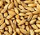 Malte Blumenau Barley Loaf - 100g - Imagem 1