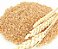 Malte Blumenau Trigo - 100g - Imagem 1