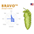 Lúpulo Hopsteiner Bravo - 50g (pellets) - Imagem 2