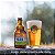Cerveja Vedett Ipa  - 330ml - Imagem 2