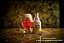 Cerveja Gulden Draak Brewmaster - 330ml - Imagem 3