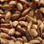 Malte Dingemans Aroma 100 - 100g - Imagem 1