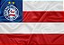 Bandeiras em Poliester- 4x0​ Tamanhos 45x35cm, 45x70cm, 70x90cm, 90x140cm, 140x180cm. - Imagem 21