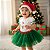 Fantasia Boneco de Neve Quentinho - body, saia tutu e gorro - Imagem 1