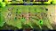 Jogo Soccer Tactics & Glory - Switch - Imagem 3