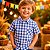 Camisa Xadrez Infantil Masculina Azul Festa Junina Manga Curta com Botões - Imagem 2
