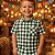 Camisa Infantil Menino Xadrez Junino Country Verde - Imagem 2