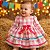 Vestido Junino Bebê Xadrez Rosa com Laço Colorido e Renda - Imagem 2