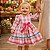 Vestido Junino Bebê Xadrez Rosa com Laço Colorido e Renda - Imagem 5
