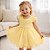 Vestido Infantil de Festa Com Renda e Tulle Tam 1 ao 4 Amarelo - Imagem 2