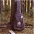 Semi Case Violão Folk e Clássico 91 Guitar’s 7ª Geração Marrom - Imagem 2