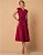Vestido Agnes - Vinho - Imagem 1