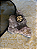 Anel de Orgonite com Turmalina Negra - Pentagrama - Imagem 1
