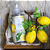 Água Perfumada Citrus Verbena - 500ml - Imagem 2