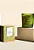Vela Perfumada Flor de Laranjeira - 210g - Imagem 1